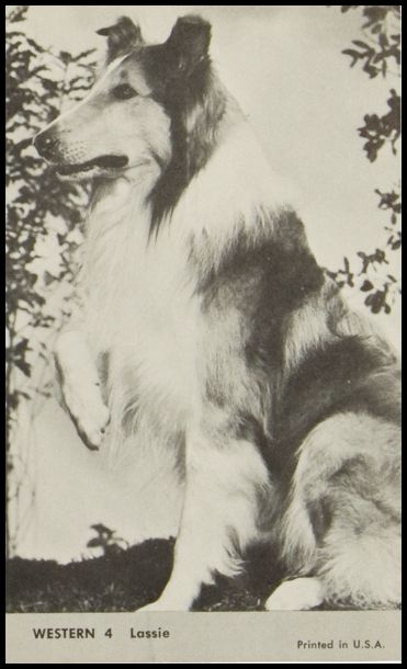 60NTW 4 Lassie.jpg